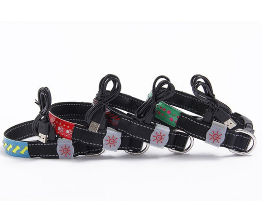 LED Designer Pet Collar - High-Visibility