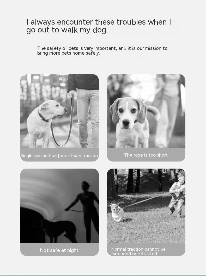 Automatic Luminous Leash With Ring Light