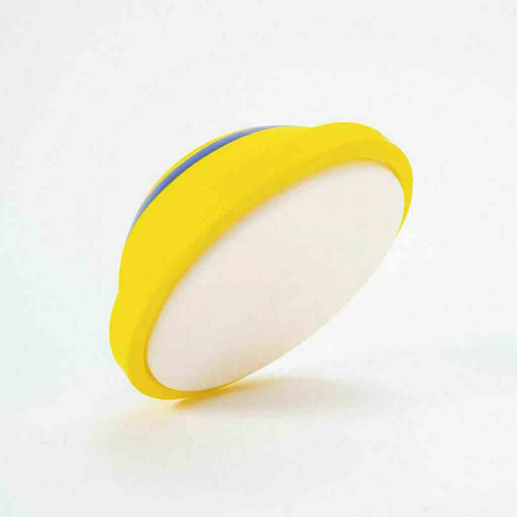 Interactive noise making Pet glider disc