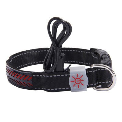 LED Designer Pet Collar - High-Visibility