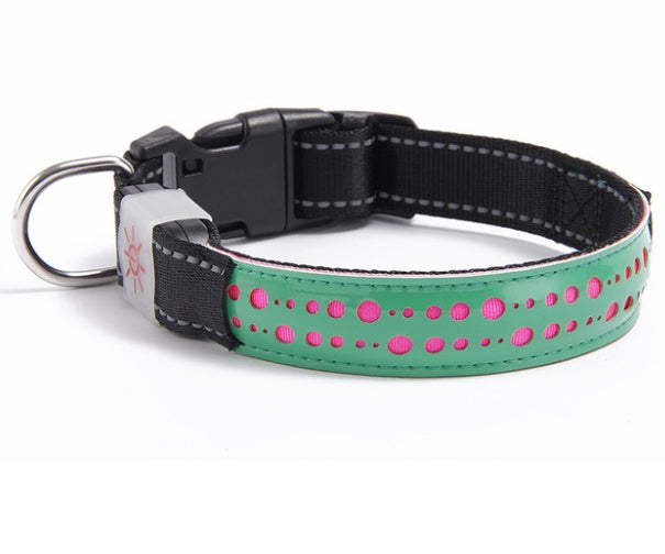 LED Designer Pet Collar - High-Visibility