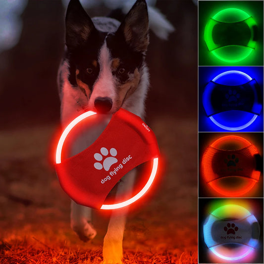 LED Glow-in-the-Dark Dog Flyer | Waterproof Interactive Night Toy