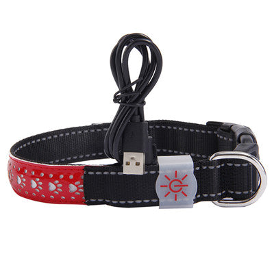 LED Designer Pet Collar - High-Visibility