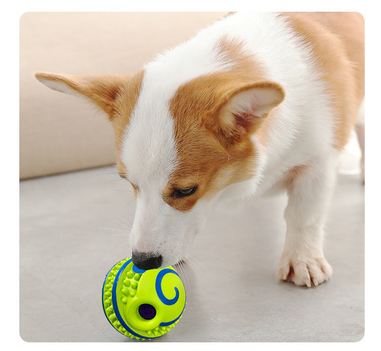 Dog Toy Ball Molar Teeth Cleaning Large Dog Puppy Bite-resistant Relieving Stuffy Sound Big Dog Toy
