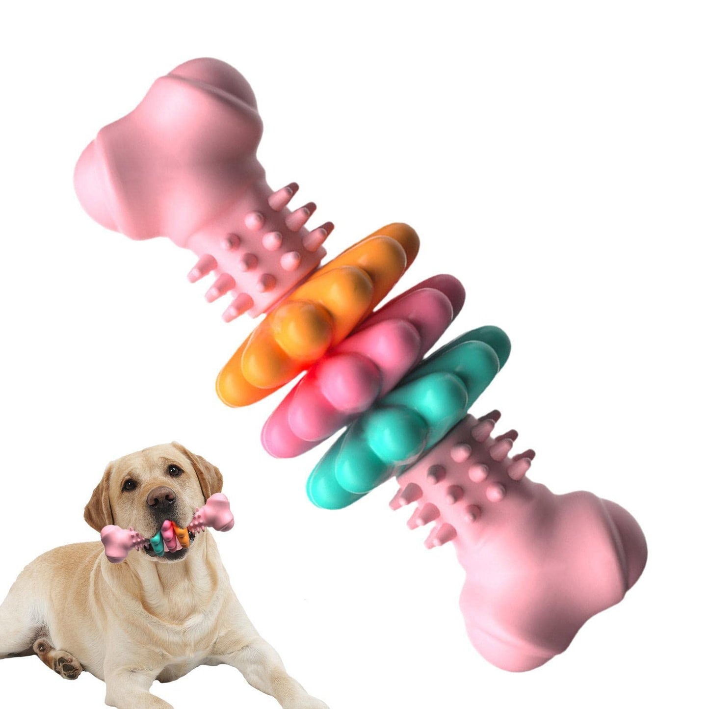 3-in-1 Dental Defense Dog Bone | Durable TPR Chew & Teeth Cleaning Toy