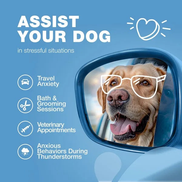 Hemp Calming Chews For Dogs Dog Calming Treats Anxiety Relief For Dogs